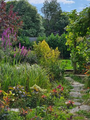 Garden- click for photo gallery